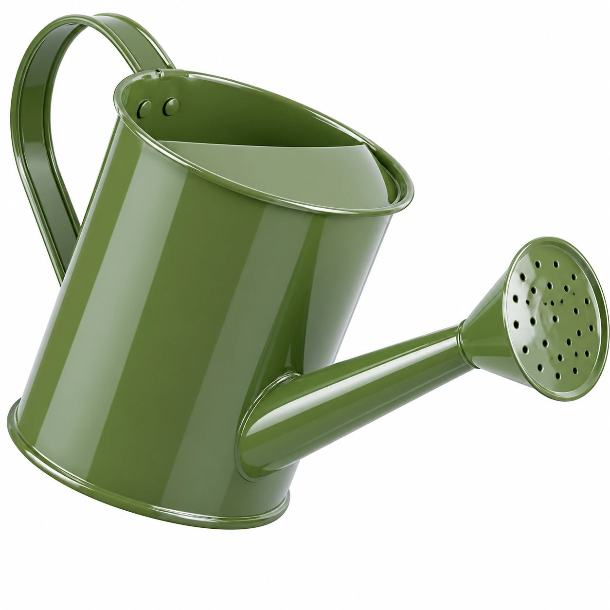 Arrosoir Métal Vert pour Jardin 10L