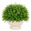 Boule de buis artificiel vert en pot crème