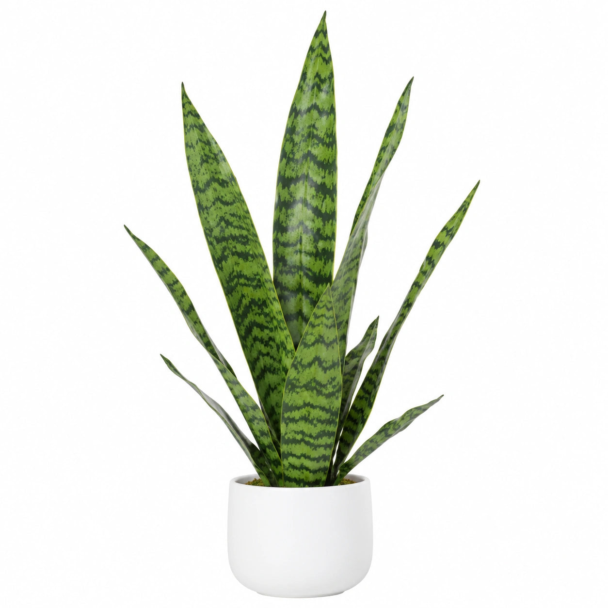 Plante artificielle Sansevieria verte avec pot en céramique blanc, 60 cm