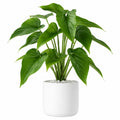 Plante Verte Artificielle avec Pot en Céramique Blanc, 50 cm