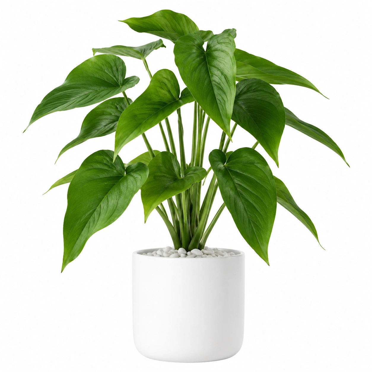 Plante Verte Artificielle avec Pot en Céramique Blanc, 50 cm