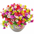 Bouquet de marguerites artificielles multicolores avec pot
