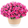 Plante Artificielle de Bégonia avec Fleurs Roses en Pot Décoratif